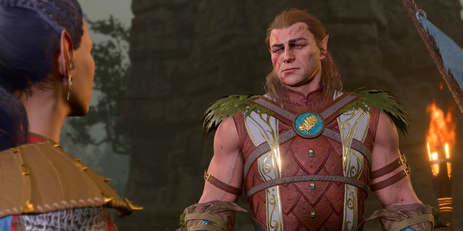 Halsin speaks with an elf character in Baldur's Gate 3