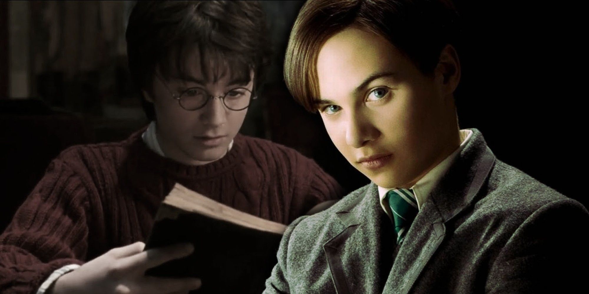 harry potter and the chamber of secrets tom riddle diary