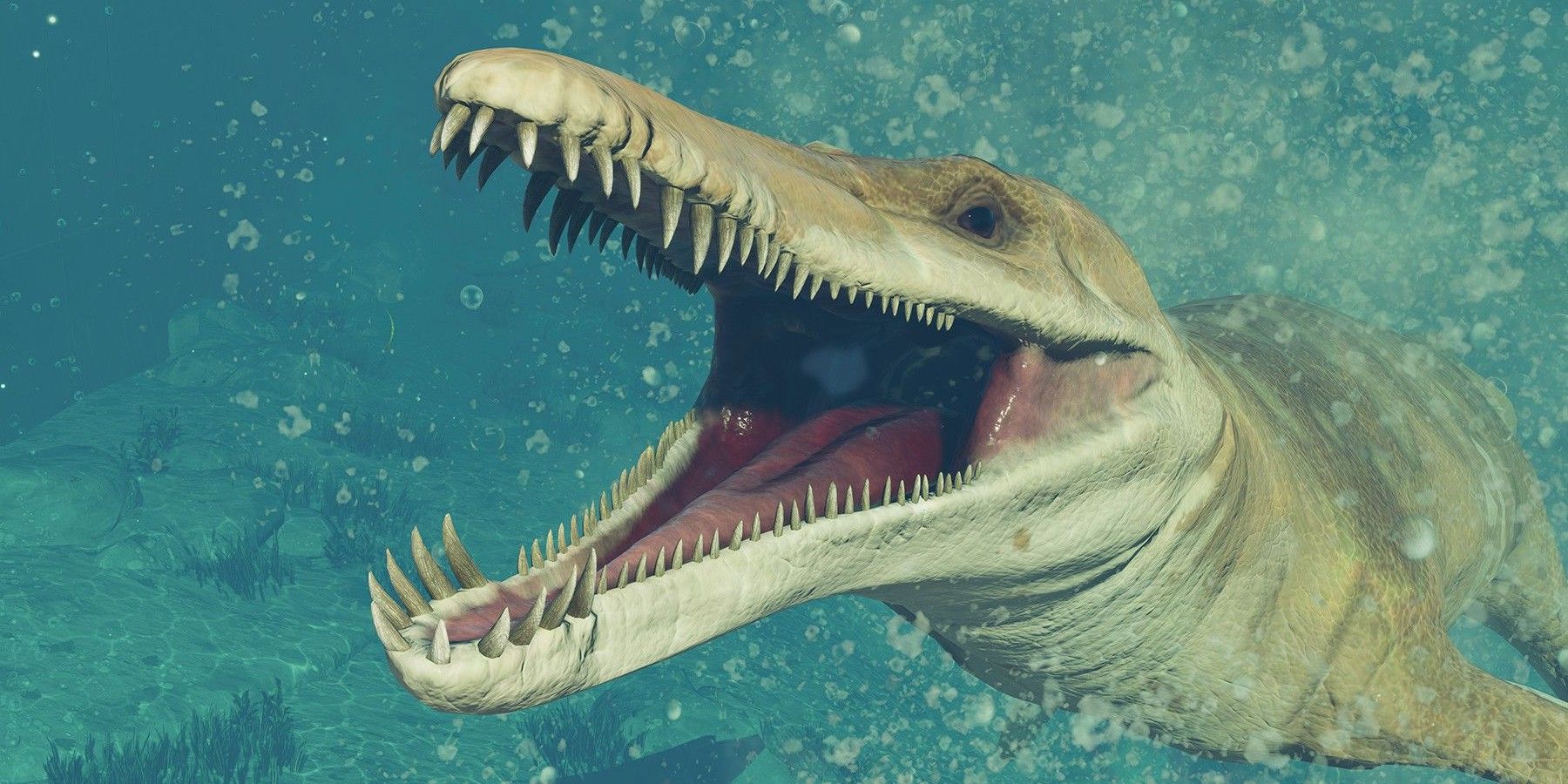 Every Real Creature In Meg 2 Explained