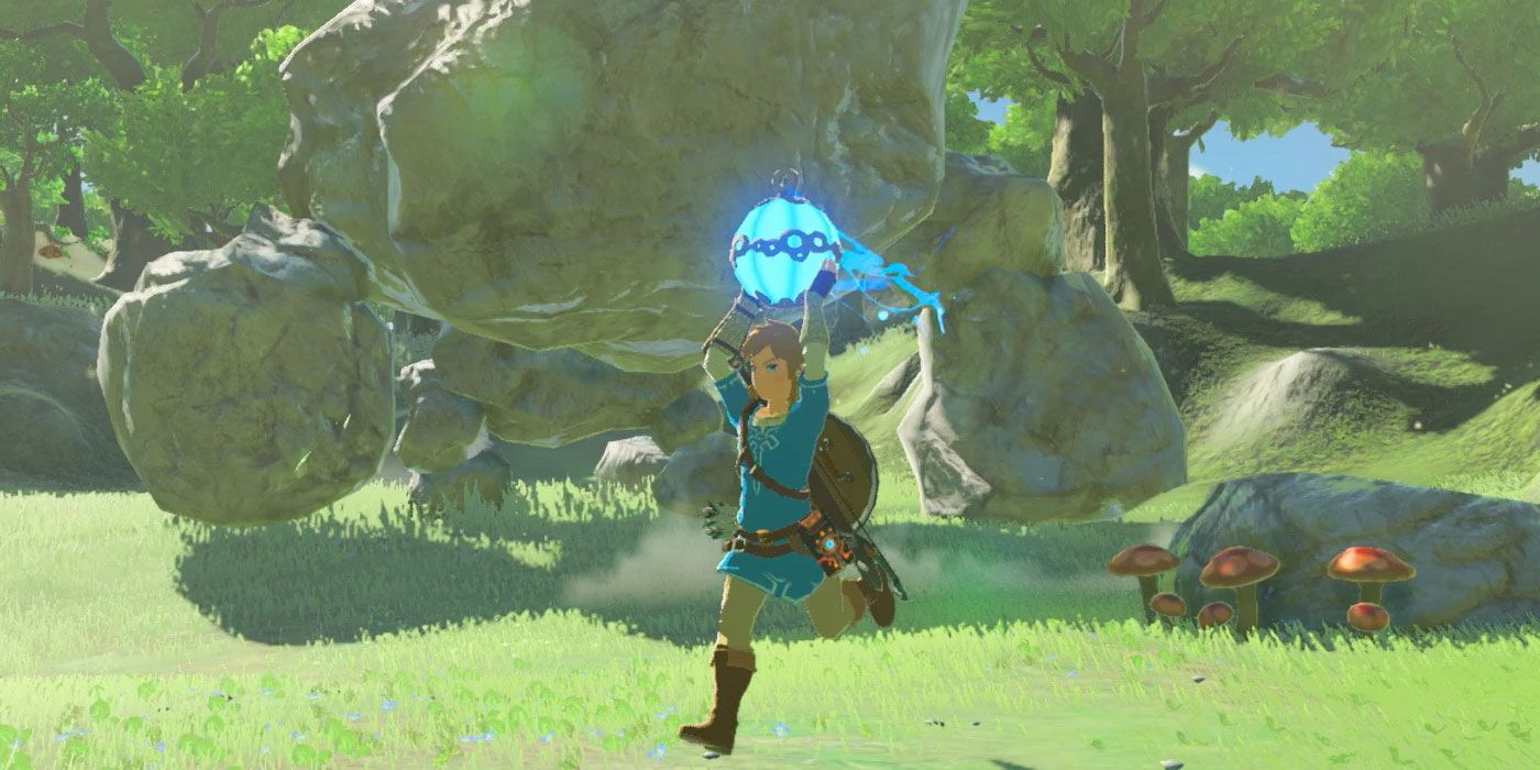 Link holding round bomb over head.
