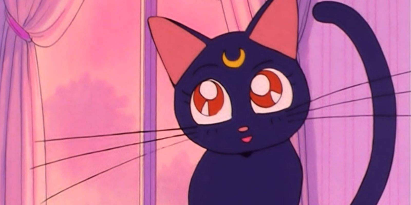 Luna from Sailor Moon.