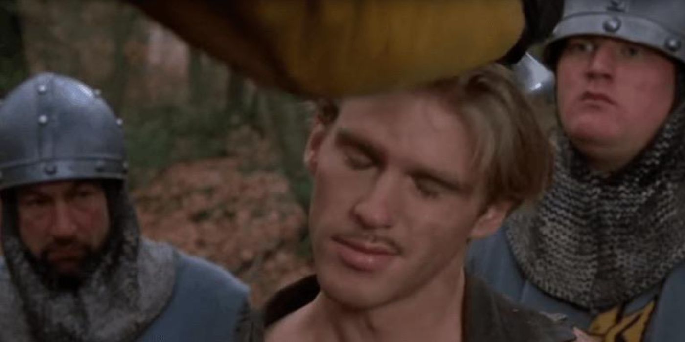Westley knocked out princess bride