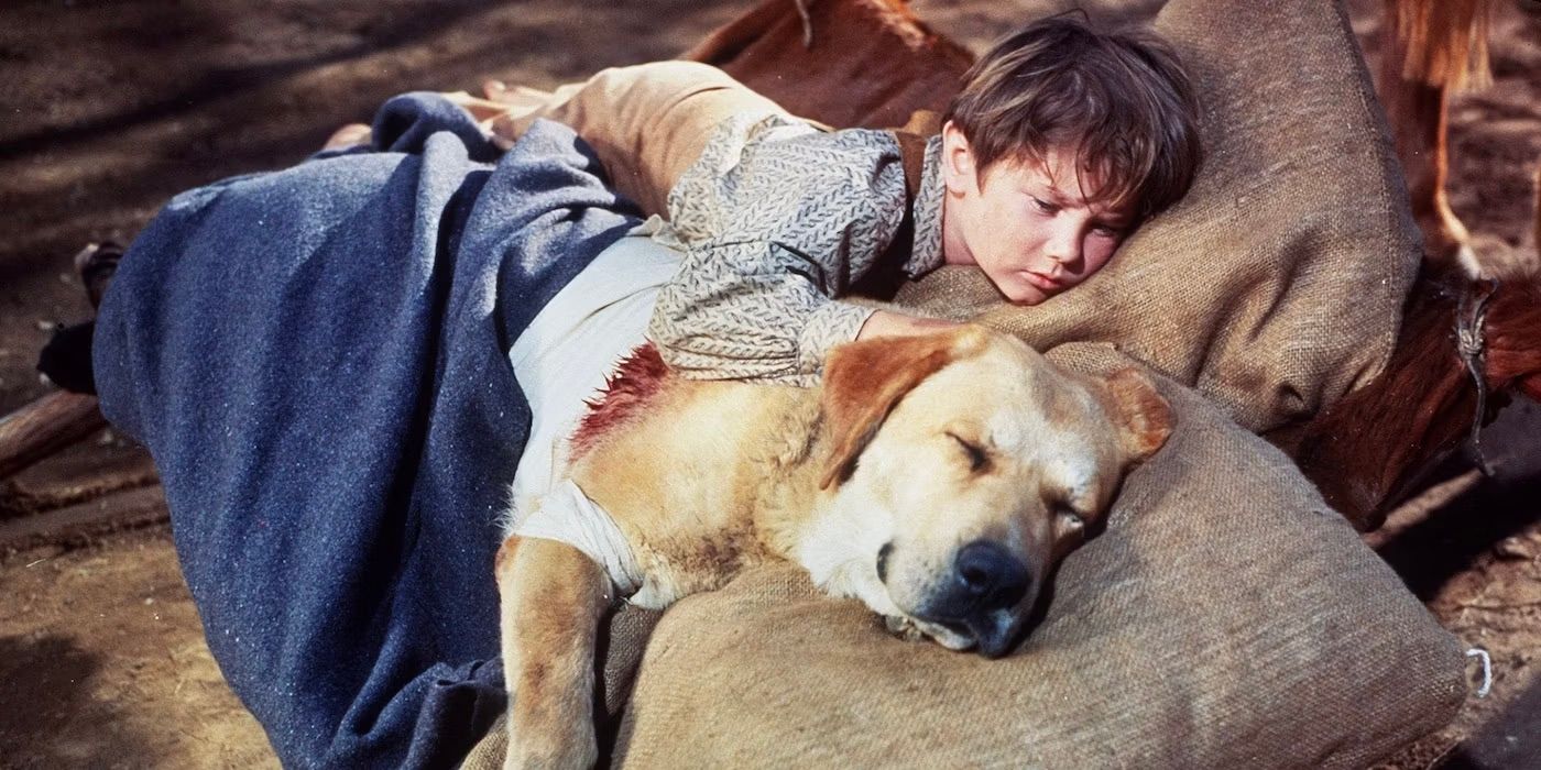 Old-Yeller-Walt-Disney-Tommy-Kirk