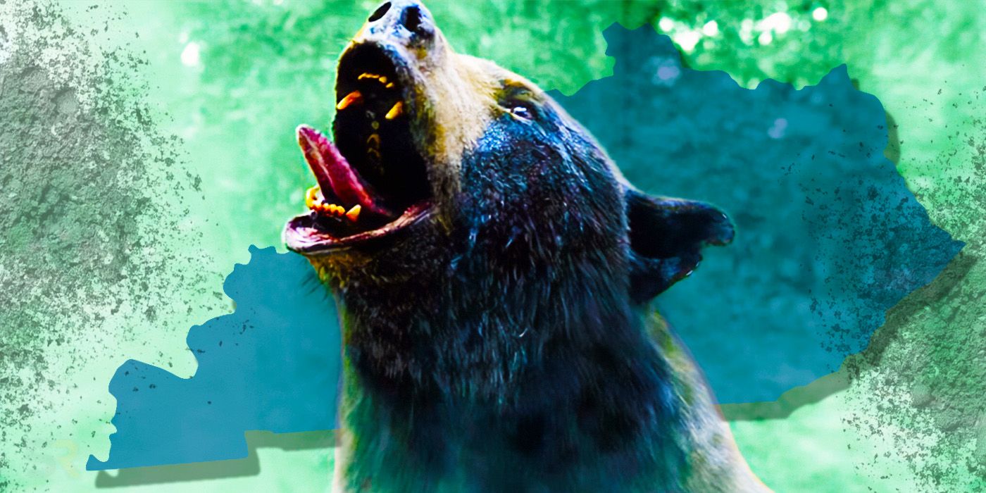 An image of the bear from Cocaine Bear