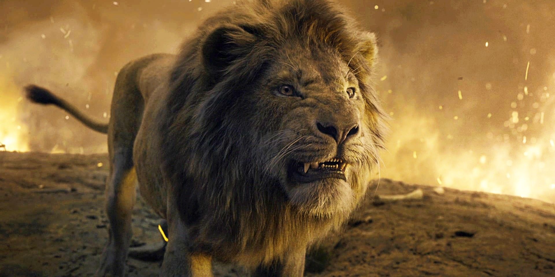 Simba lors de son combat avec Scar dans le Roi Lion 2019