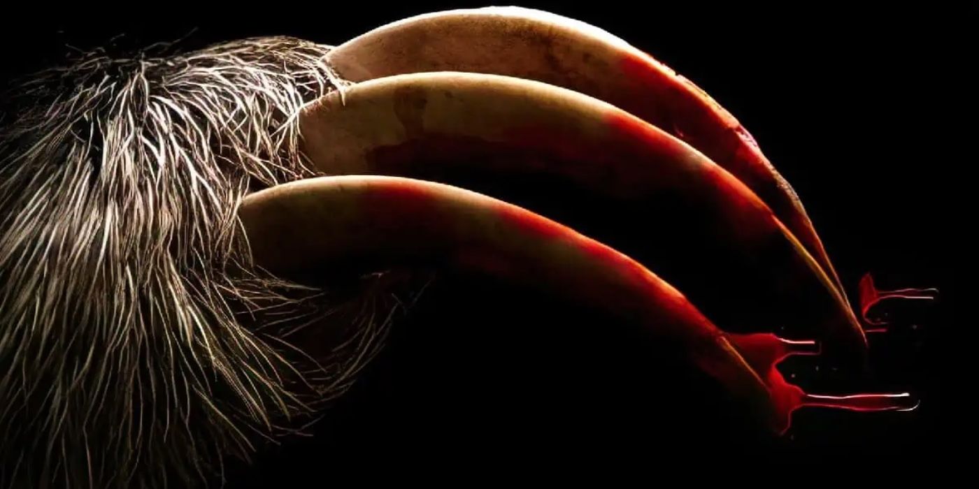 Slotherhouse the sloth&rsquo;s blood-covered claws