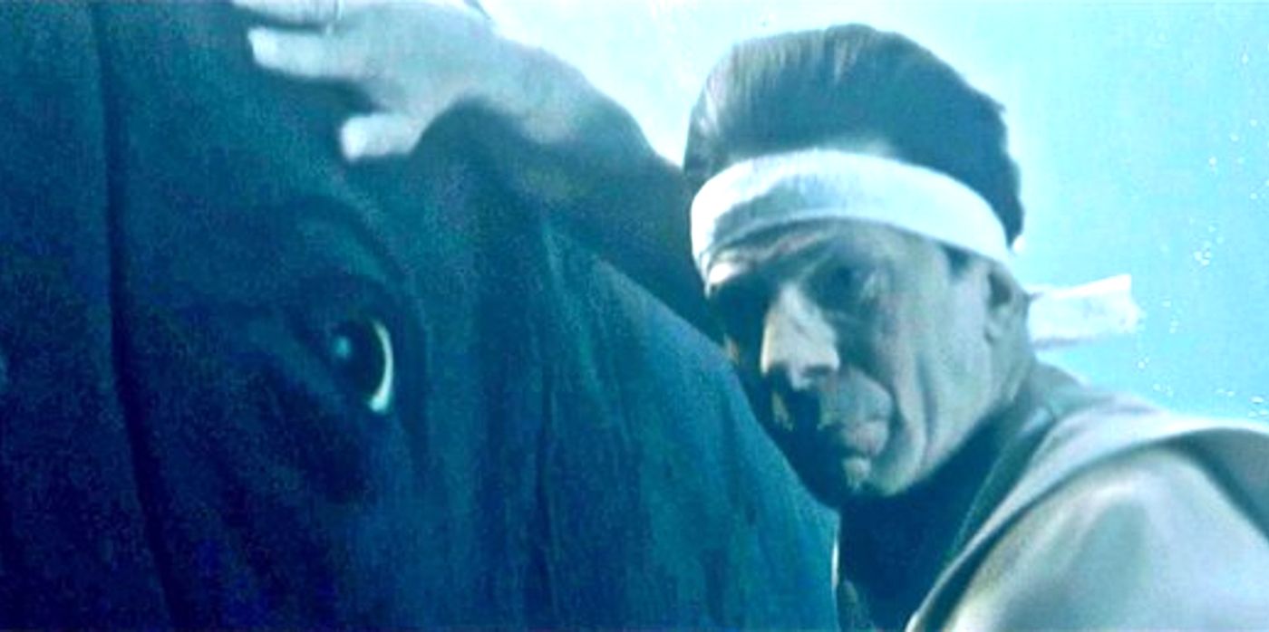 The Whales' Vital Role in Starfleet: 37 Years of Earth's Mammals Shaping the Star Trek Universe