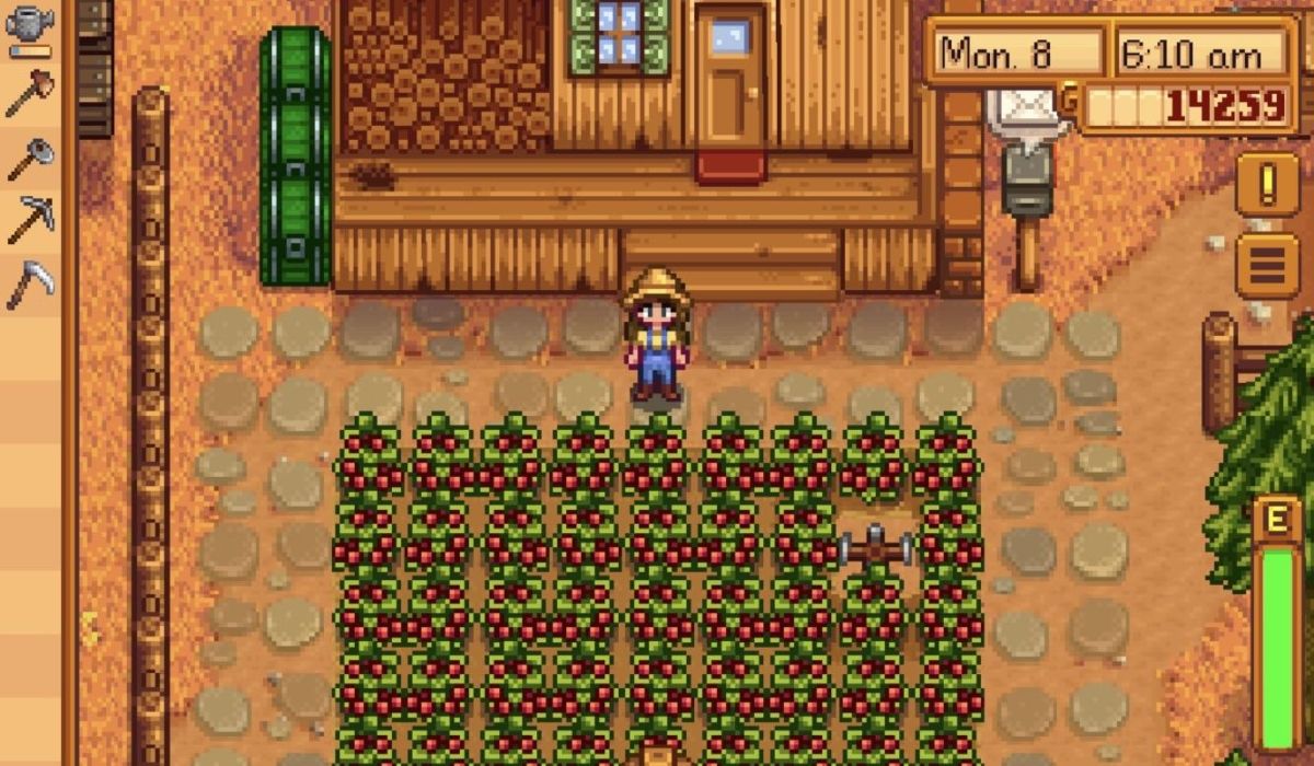 Cranberries do Vale Stardew