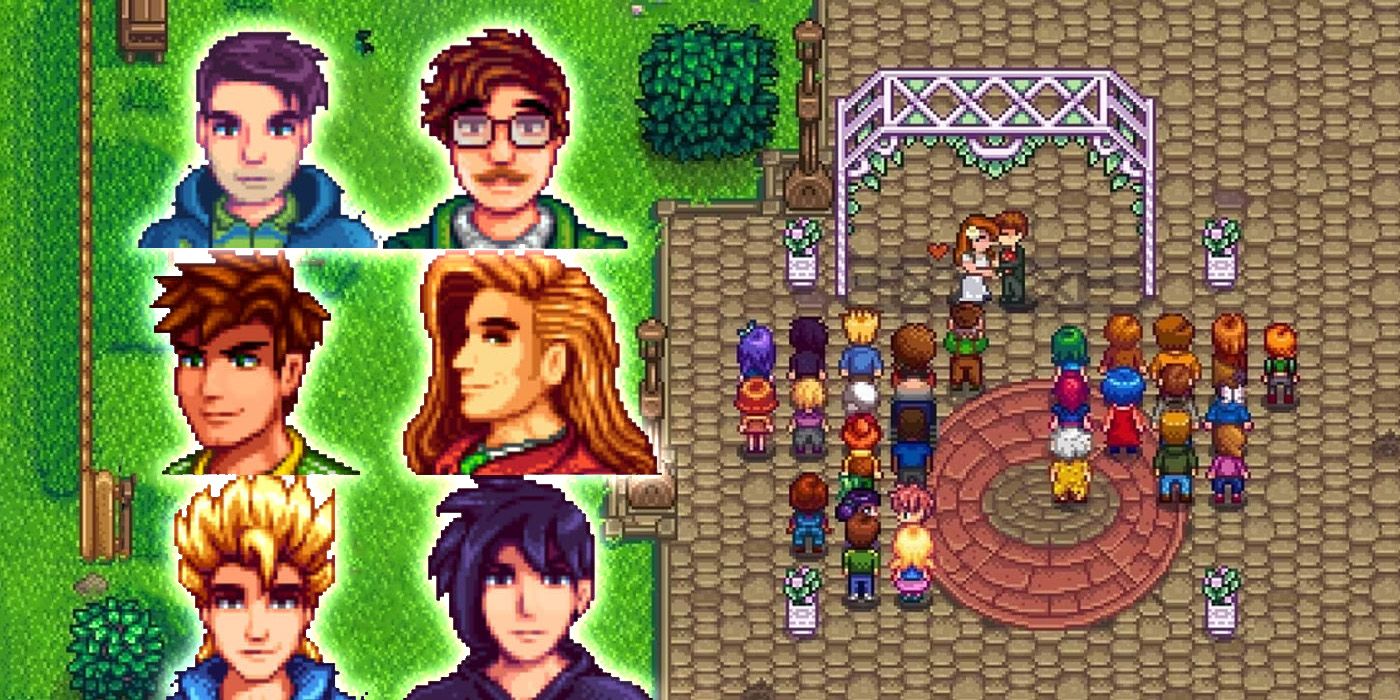 A wedding ceremony in Stardew Valley's pixel art style on the right side of the frame. On the left is the portraits of all 6 male marriage candidates in the game, arranged in a 2x3 grid.