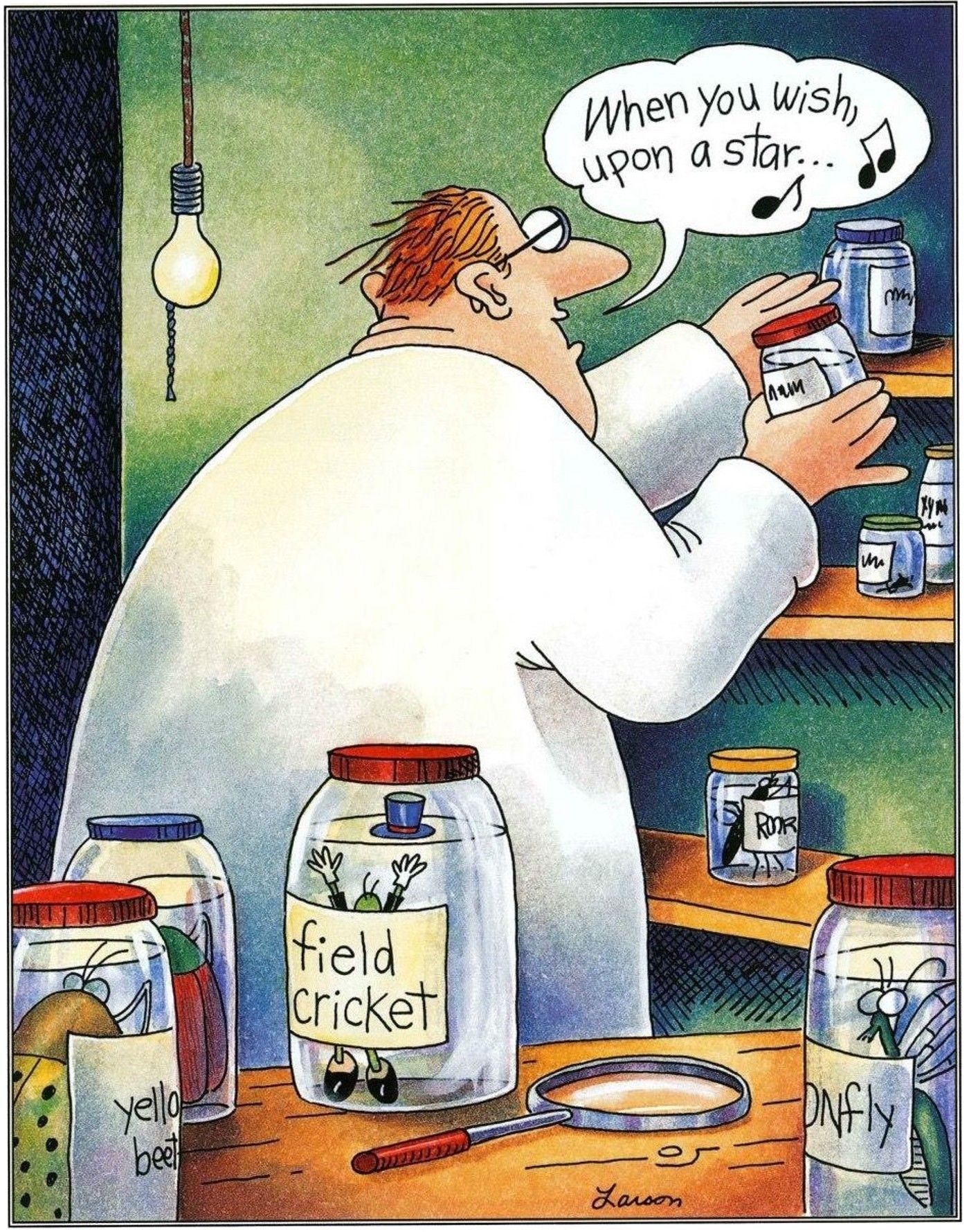 10 Funniest Far Side Comics That Make Fun of Disney