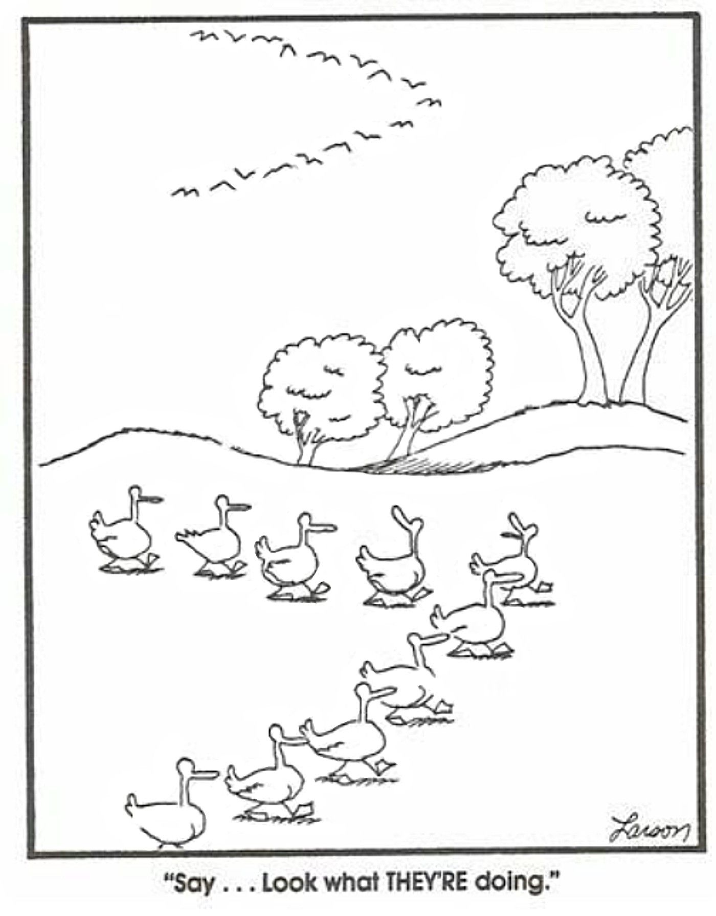 the far side ducks flying south