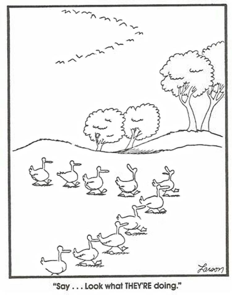 13 Funniest Far Side Comics That Prove It's Obsessed with Ducks