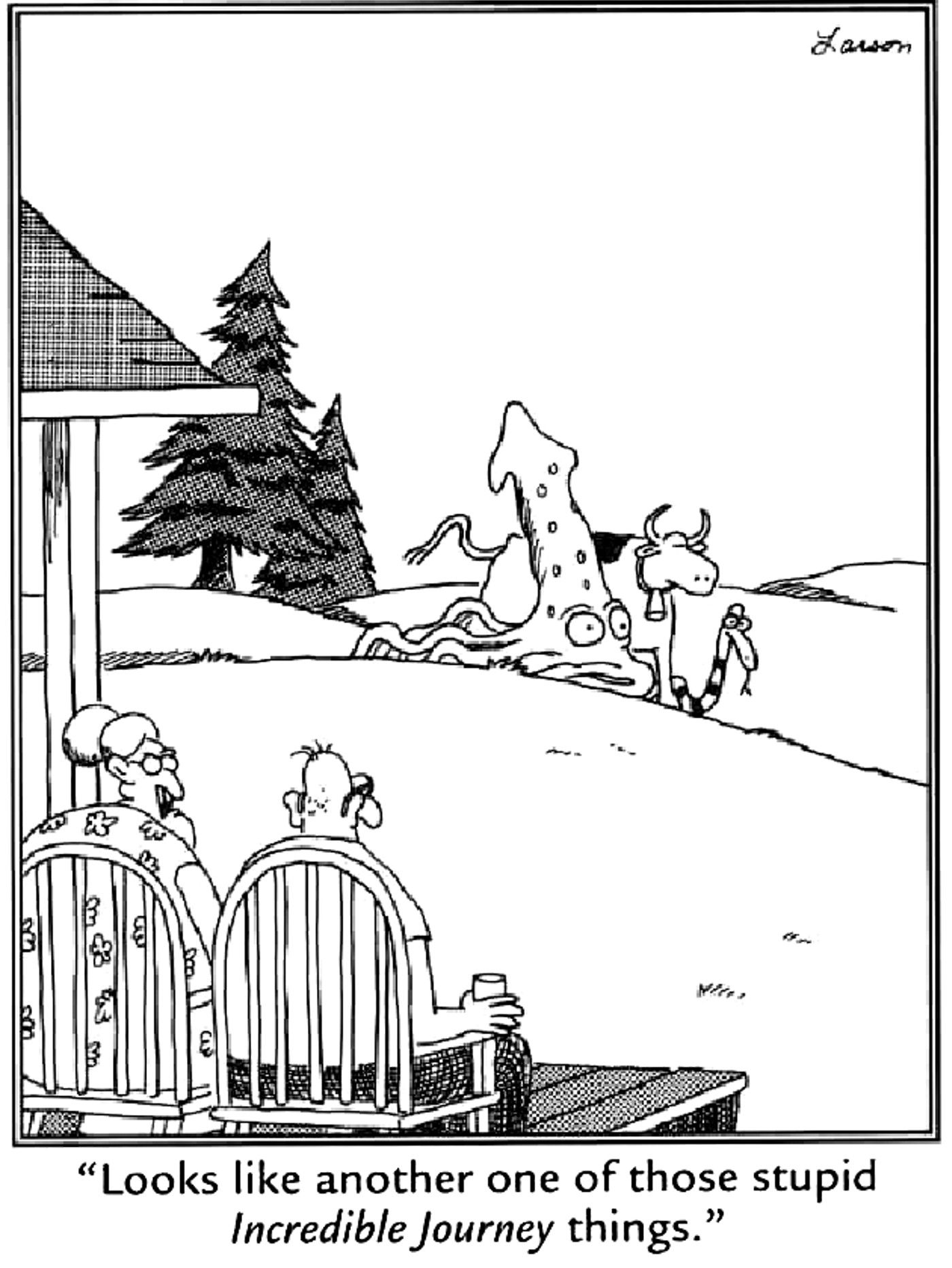 the far side incredible journey