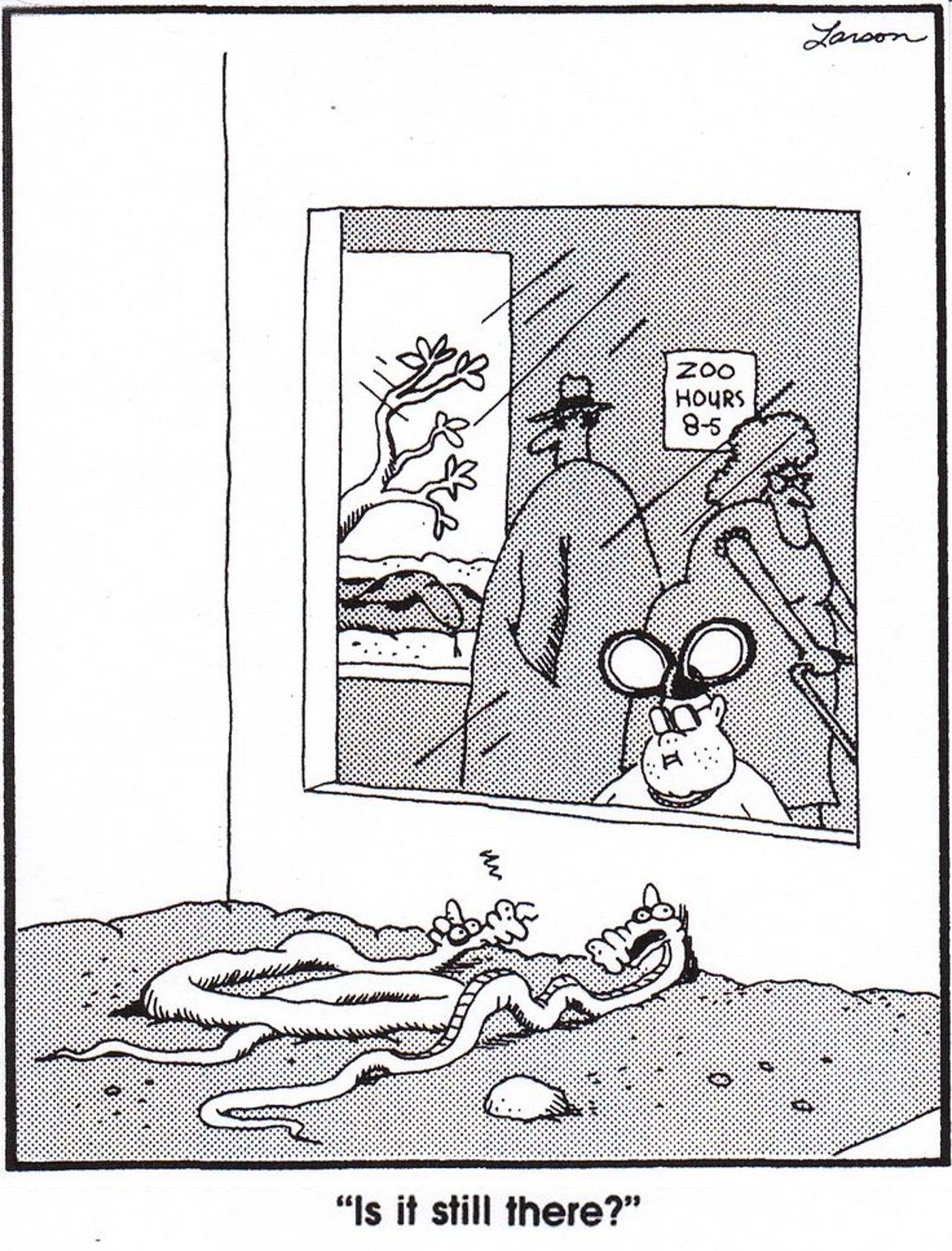 the far side mousketeer gary larson
