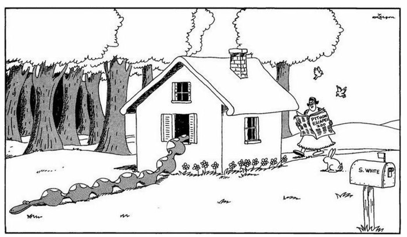 the far side snow white