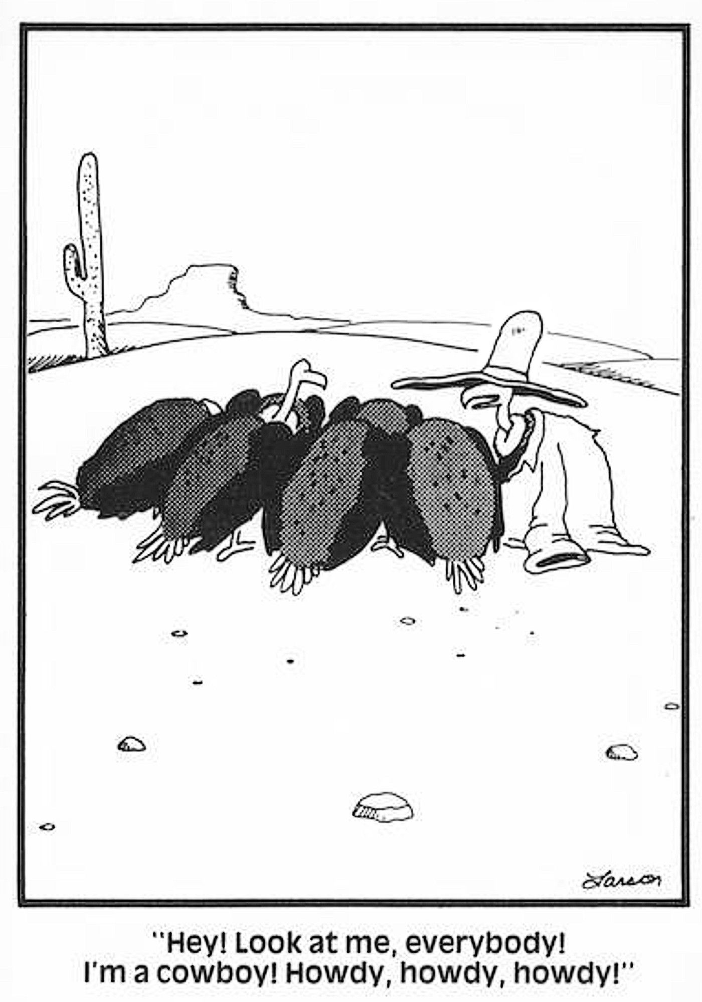 10 Funniest Far Side Comics That Make Fun of Disney