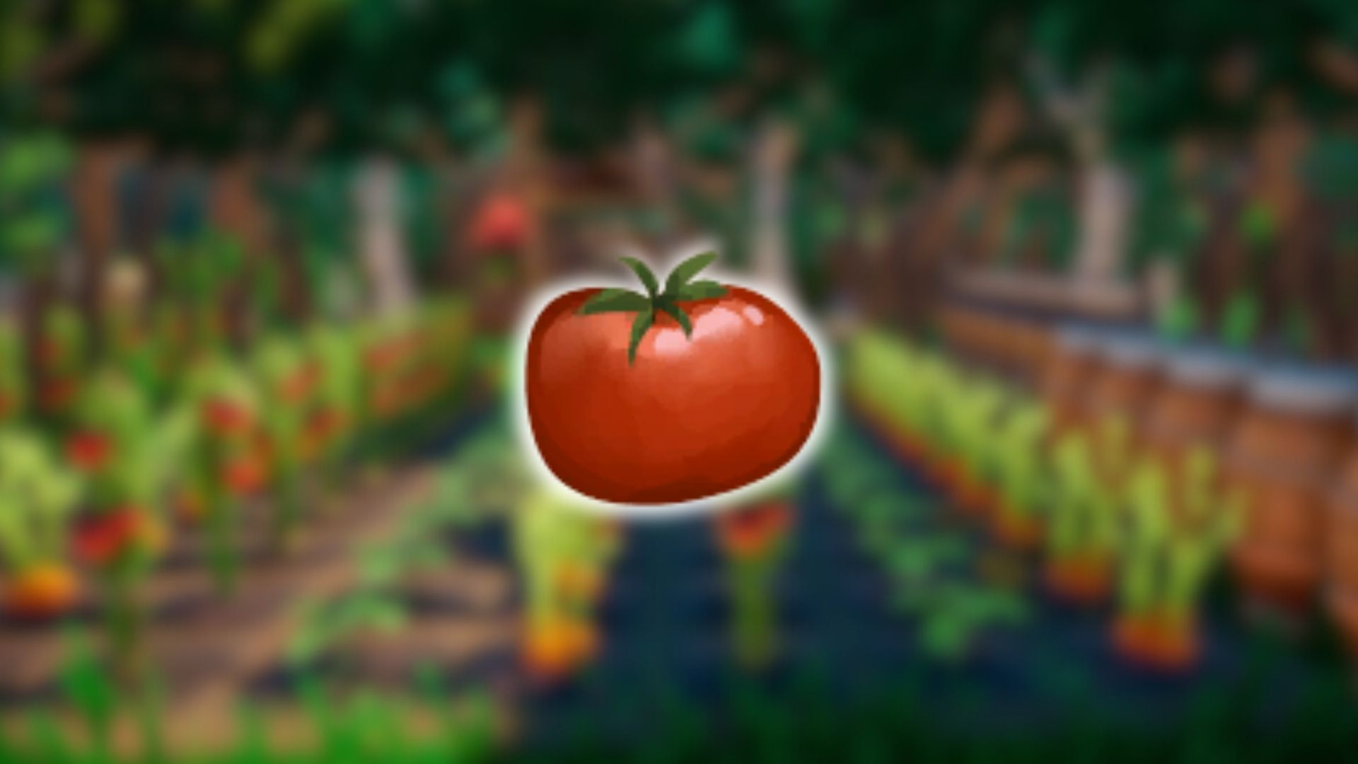 Tomato in Palia