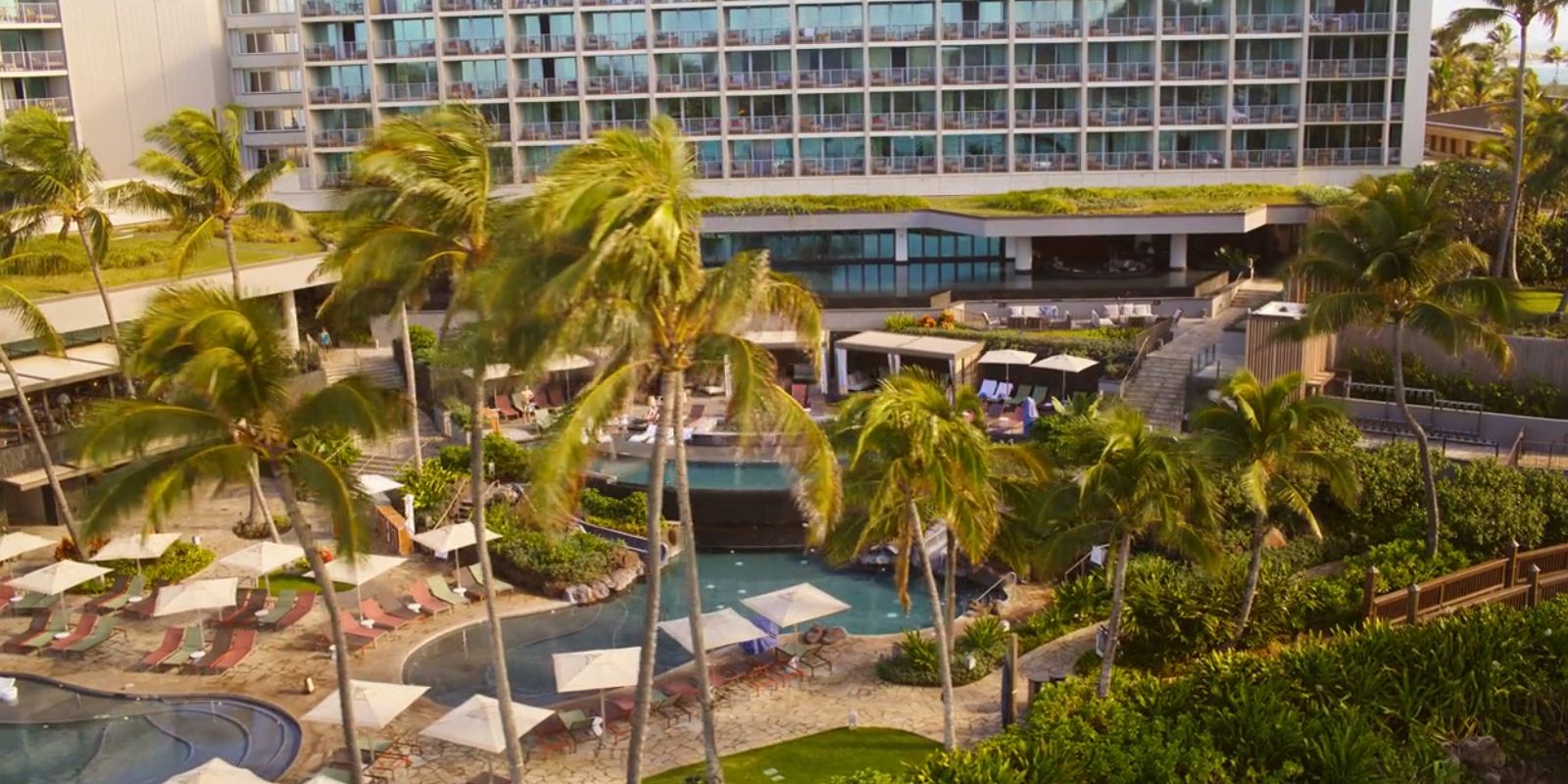This image shows palm trees in front of a tropical resort.
