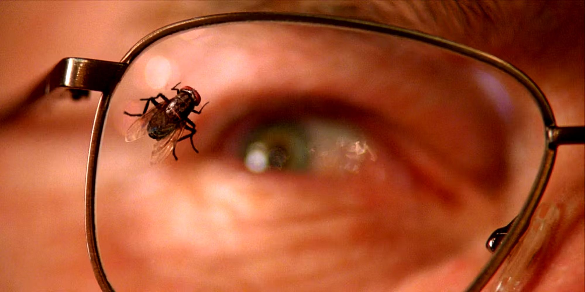 Walter White in Breaking Bad's Fly Episode