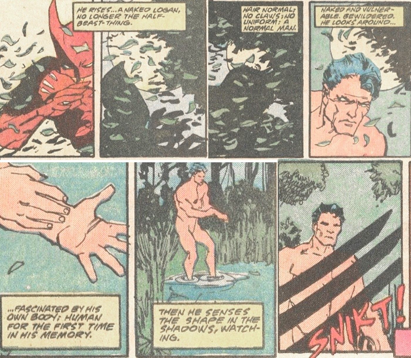 Wolverine Human Beast