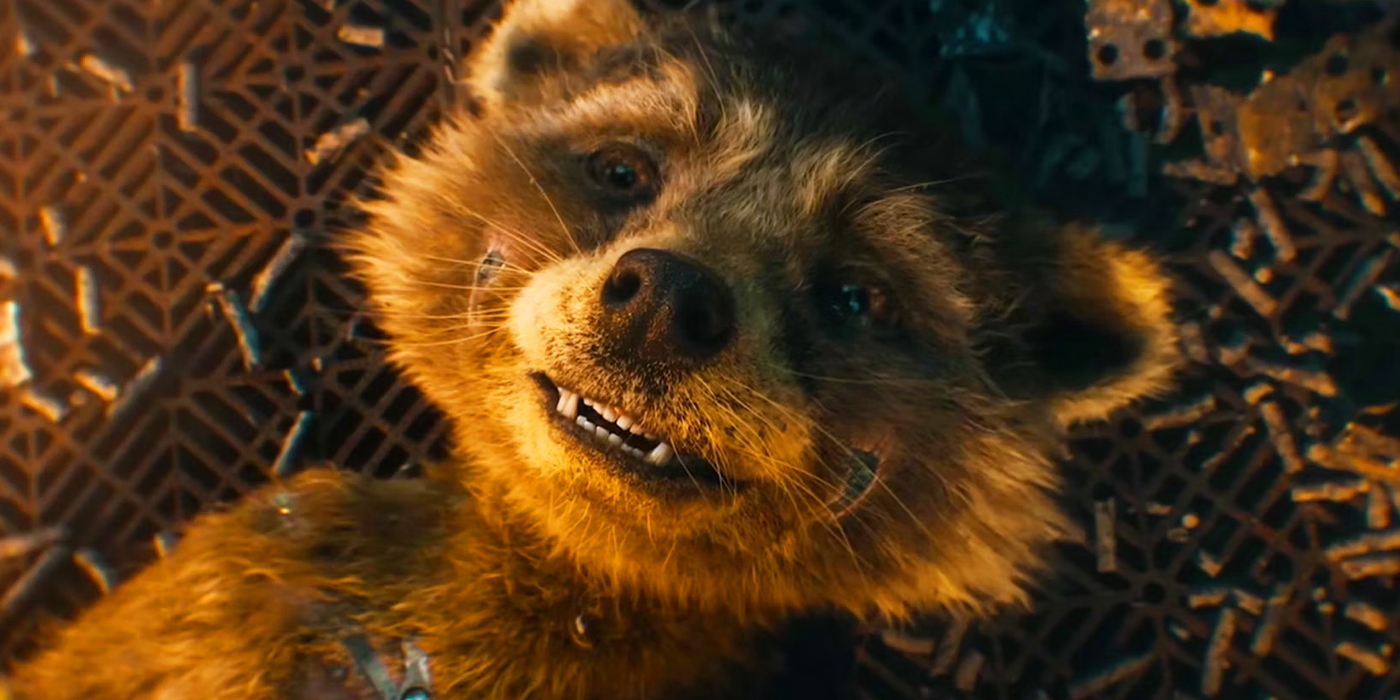 Young Rocket in Guardians of the Galaxy Vol. 3