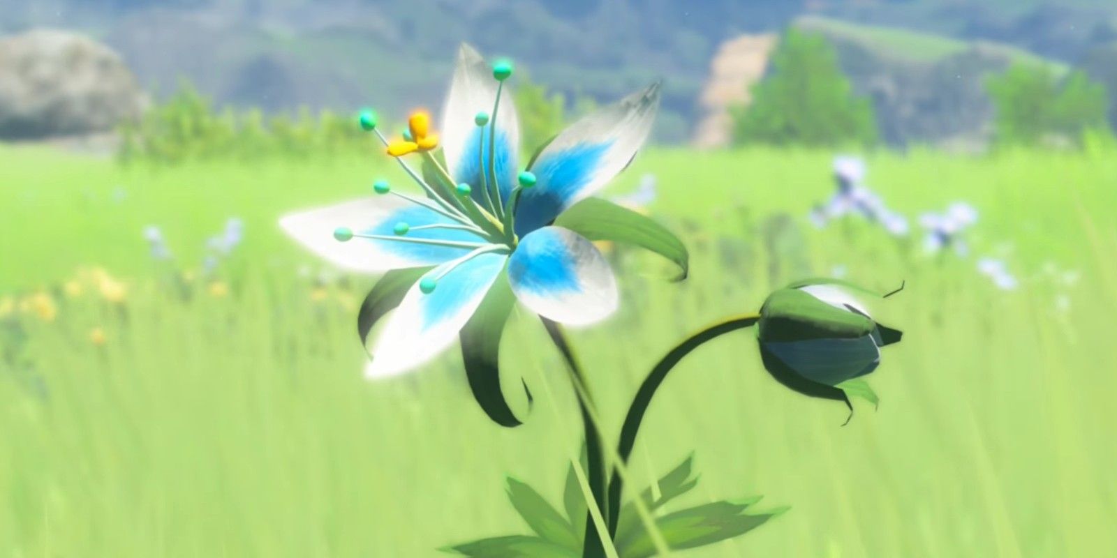 Uma flor da Princesa Silenciosa vista em The Legend of Zelda: Breath of the Wild.