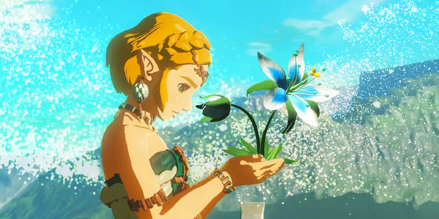 Zelda: BOTW & TOTK's Silent Princess Flower Has A Heartwarming Meaning