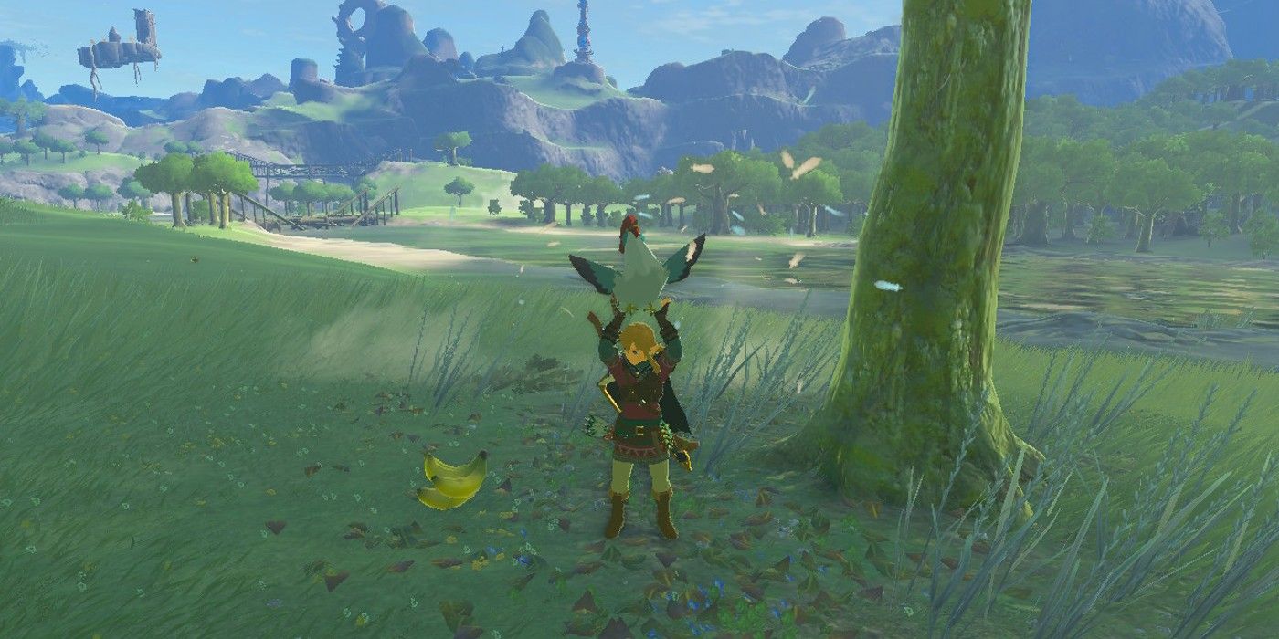 Link holding a Cucco alarmed by a hidden Yiga’s trap in The Legend of Zelda: Tears of the Kingdom, while the Hero glances at the Mighty Banana bait.