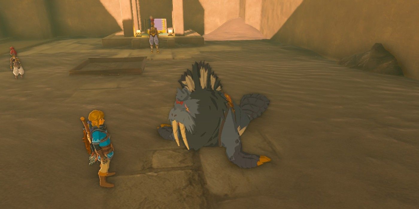 Link consulting Patricia the Sand Seal for guidance in The Legend of Zelda: Tears of the Kingdom.
