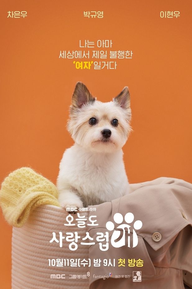 A Good Day To Be A Dog Summary, Latest News, Trailer, Season List, Cast, Where to Watch and More