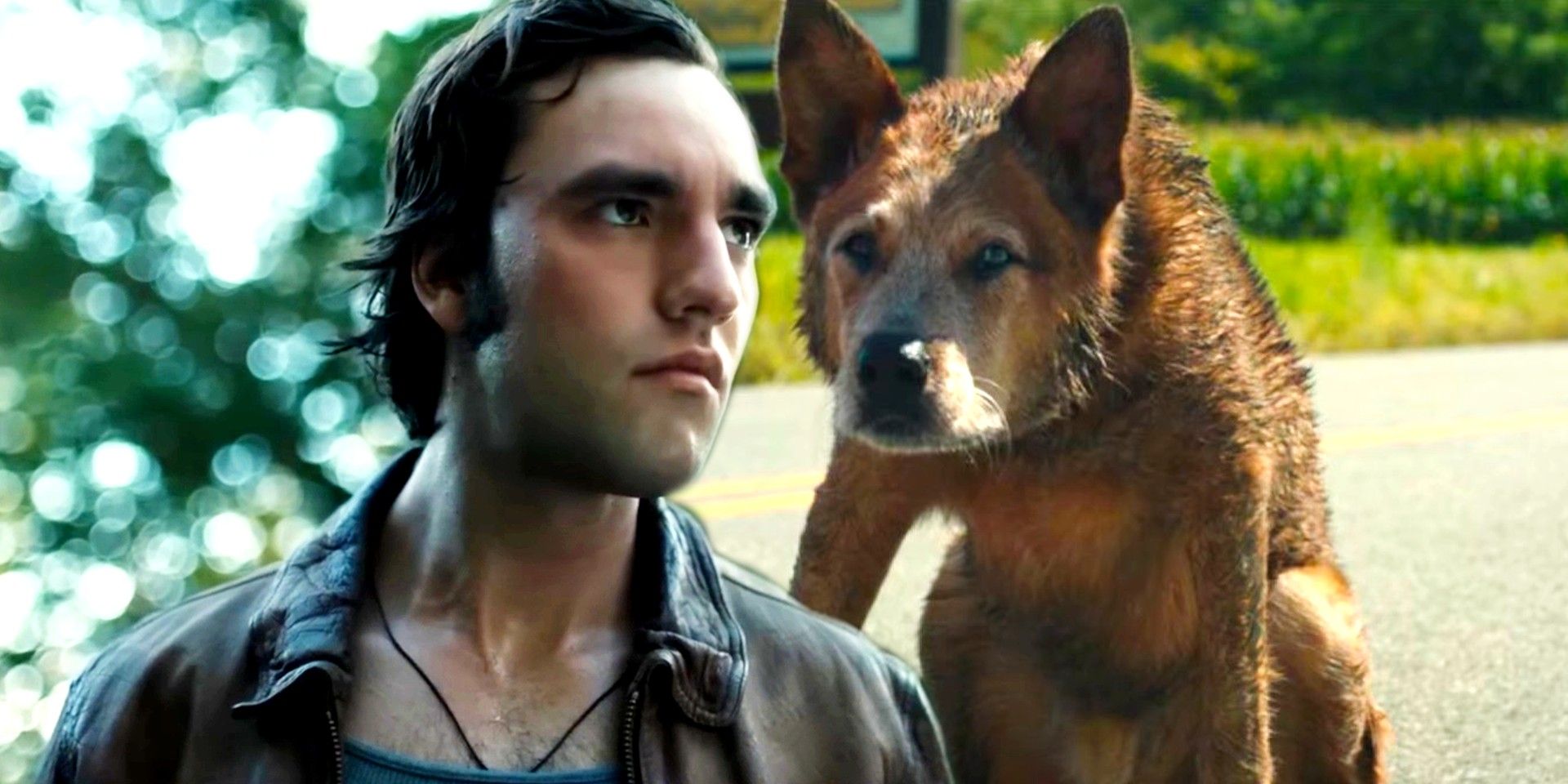 A young Jud and a dog on the street in Pet Semetary: Bloodlines