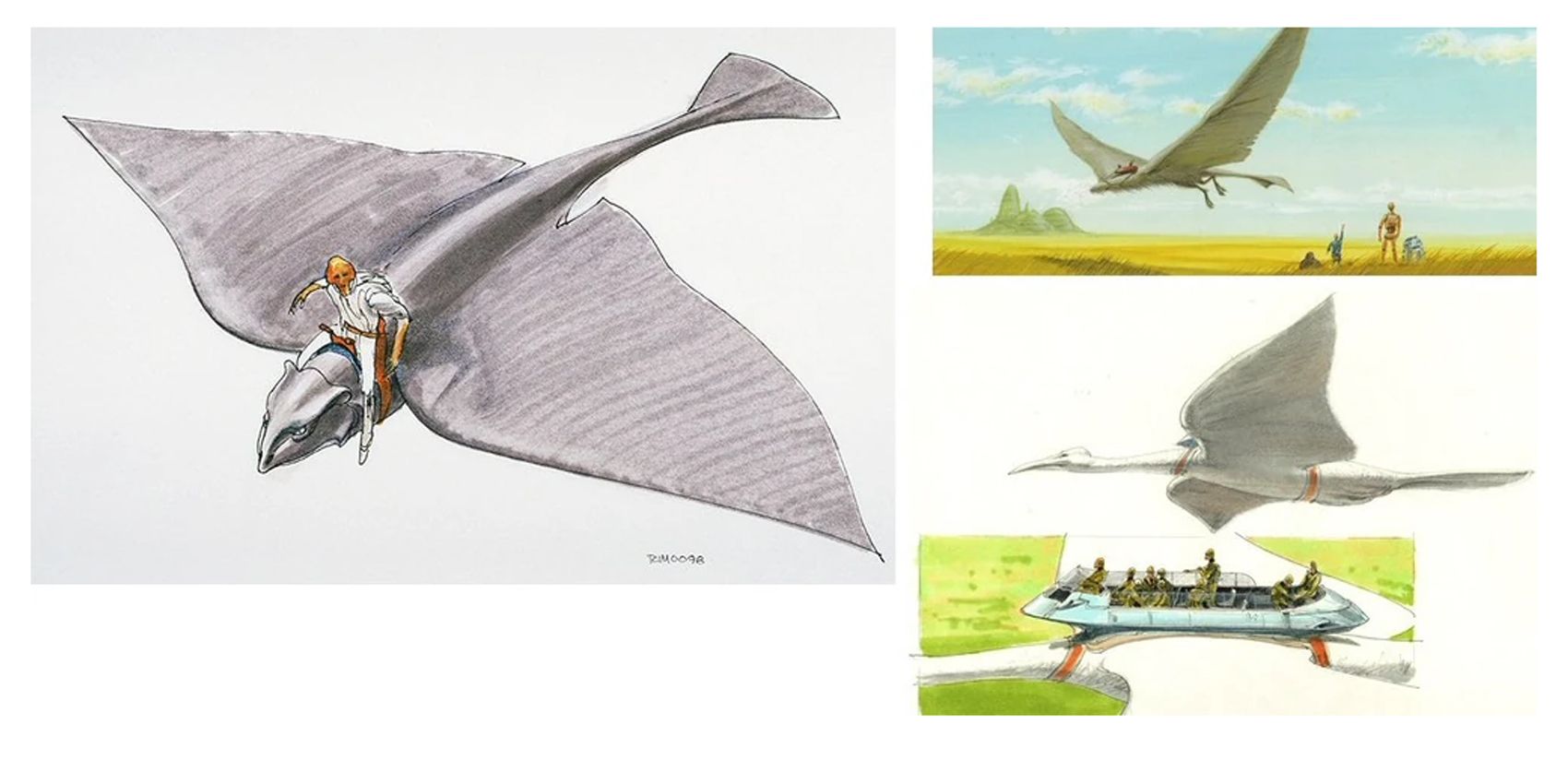 Air Whale Concepts