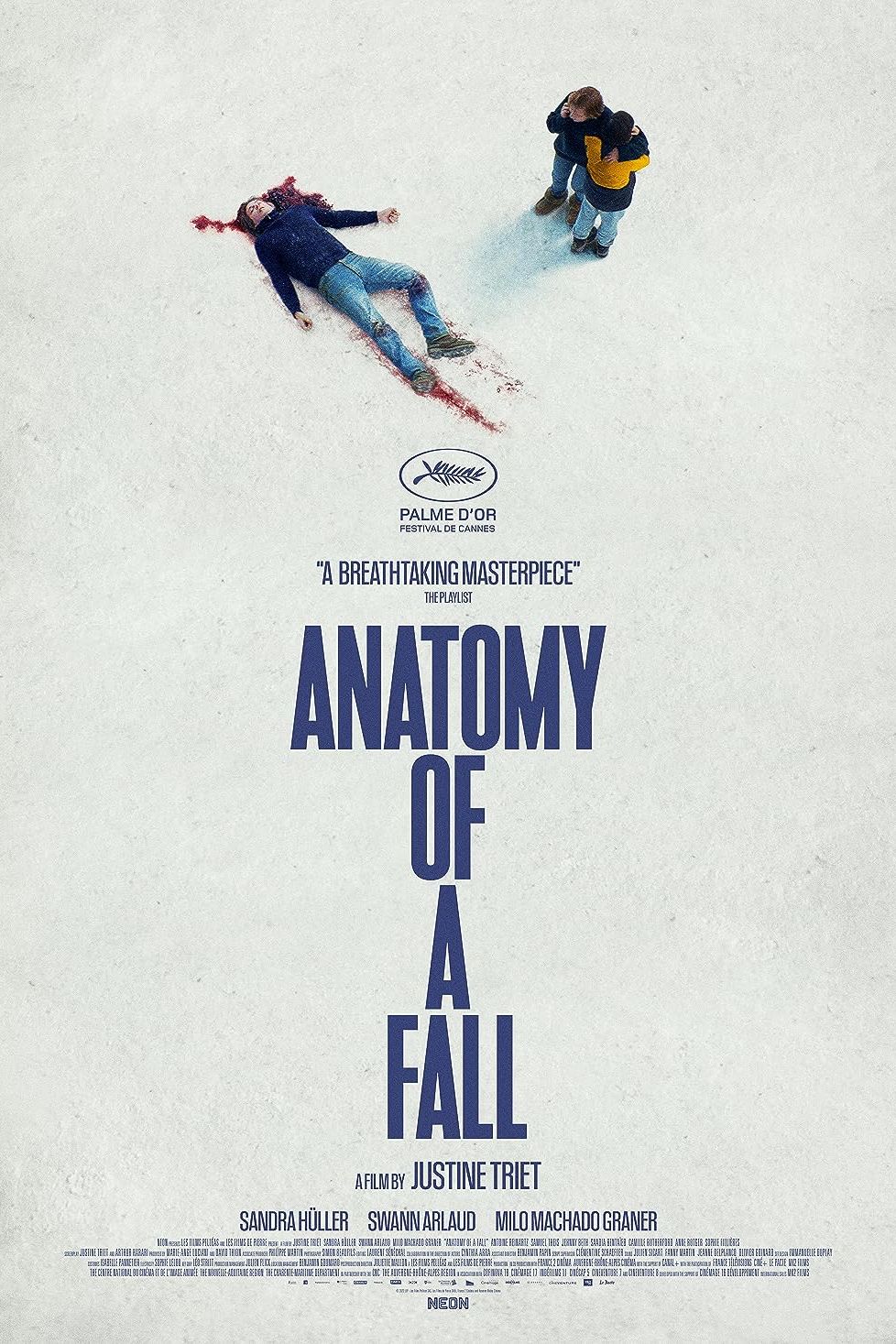 Anatomy of a Fall Movie Poster