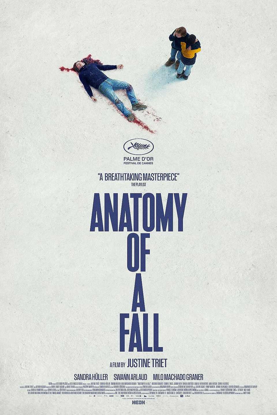 Anatomy of a Fall Movie Poster