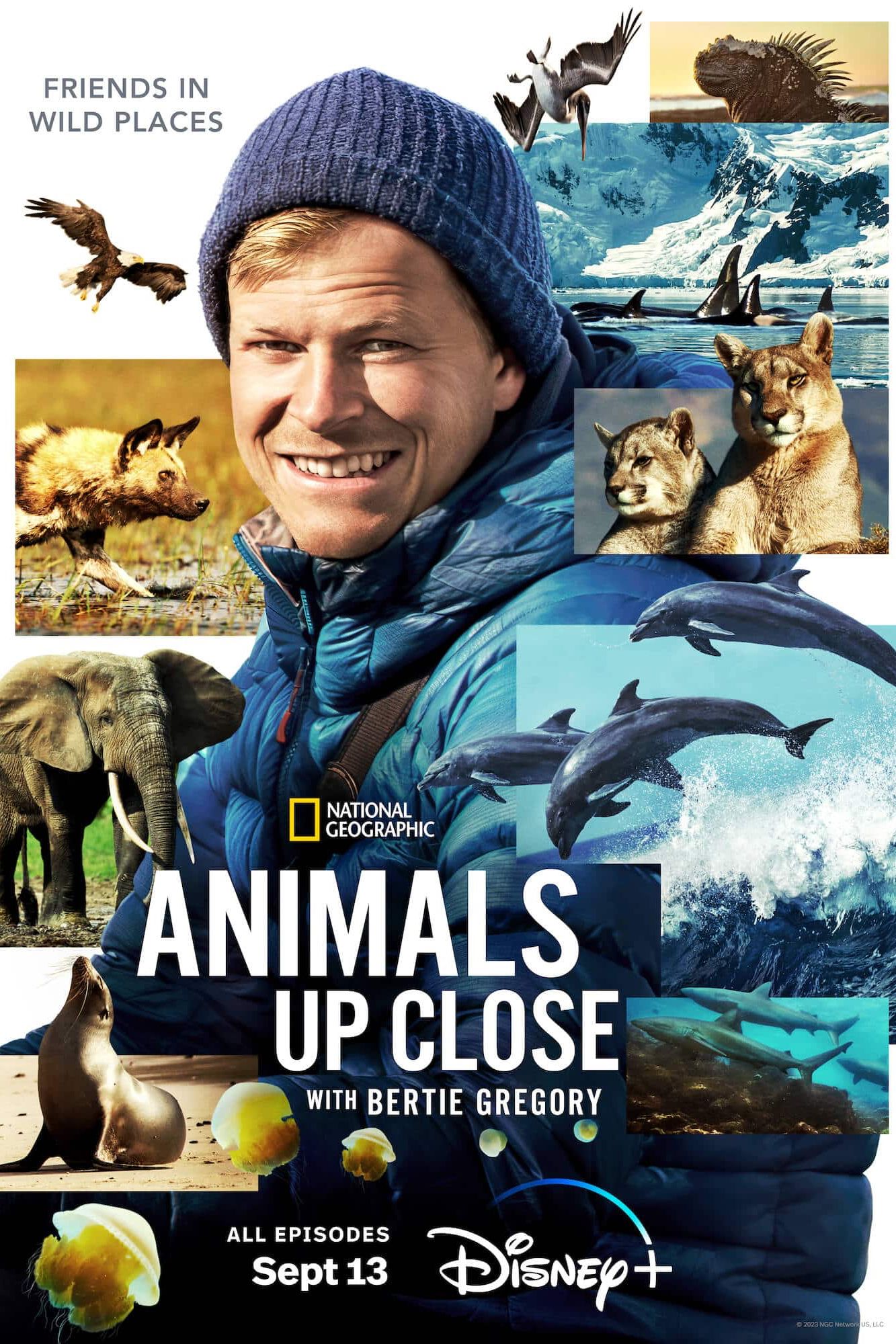 Animals Up Close with Bertie Gregory TV Poster