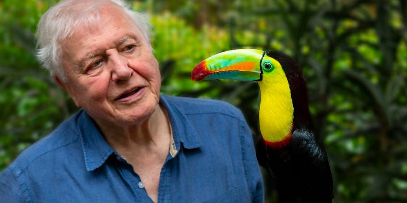 Attenborough's Life In Colour