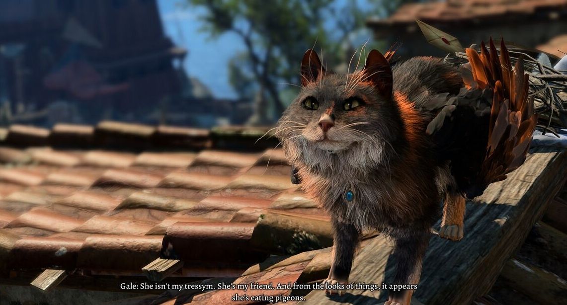 Tara the Tressym, a winged tortoiseshell cat, stares at the player as it guards its nest and Gale discusses his friendship with the beast.
