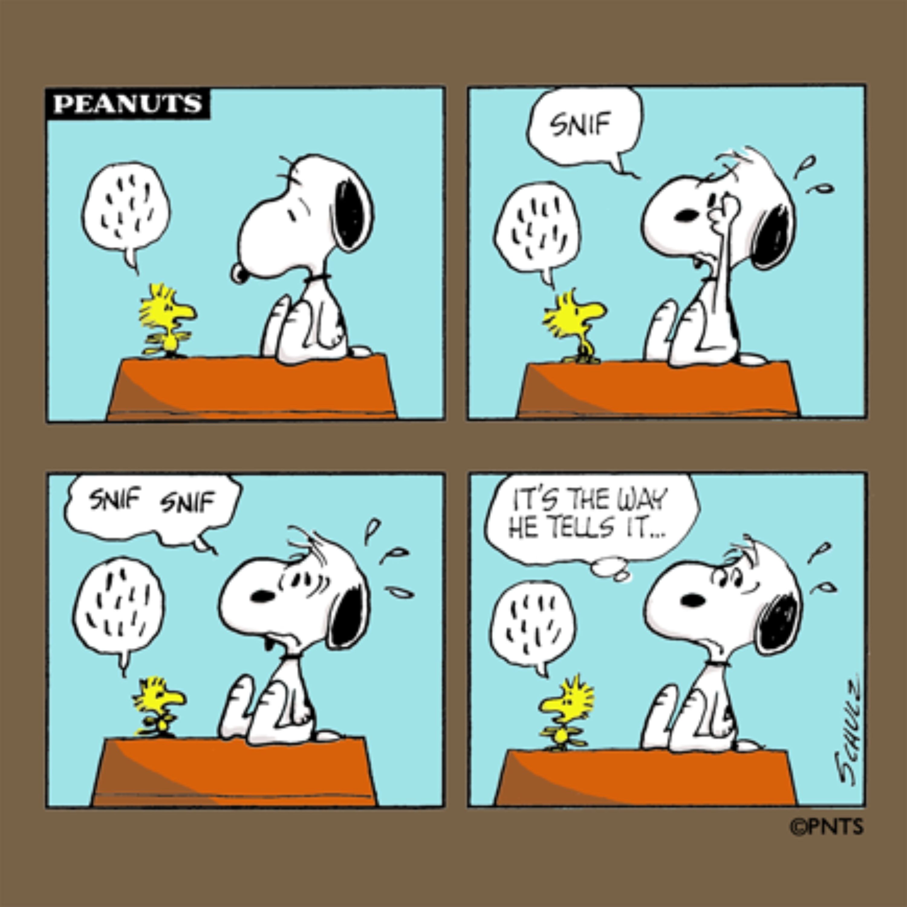 Snoopy and Woodstock comic