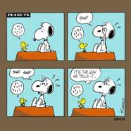 Peanuts 15 Most Heartwarming Snoopy Woodstock Best Friend Moments