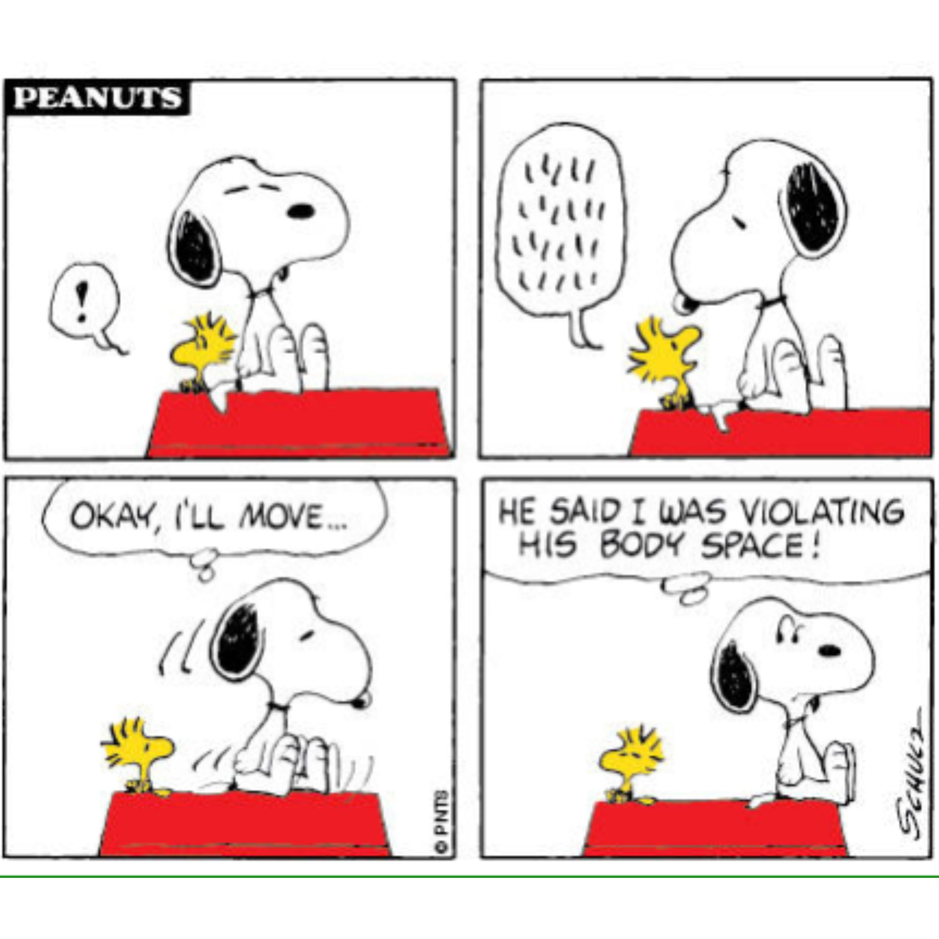 Snoopy and Woodstock