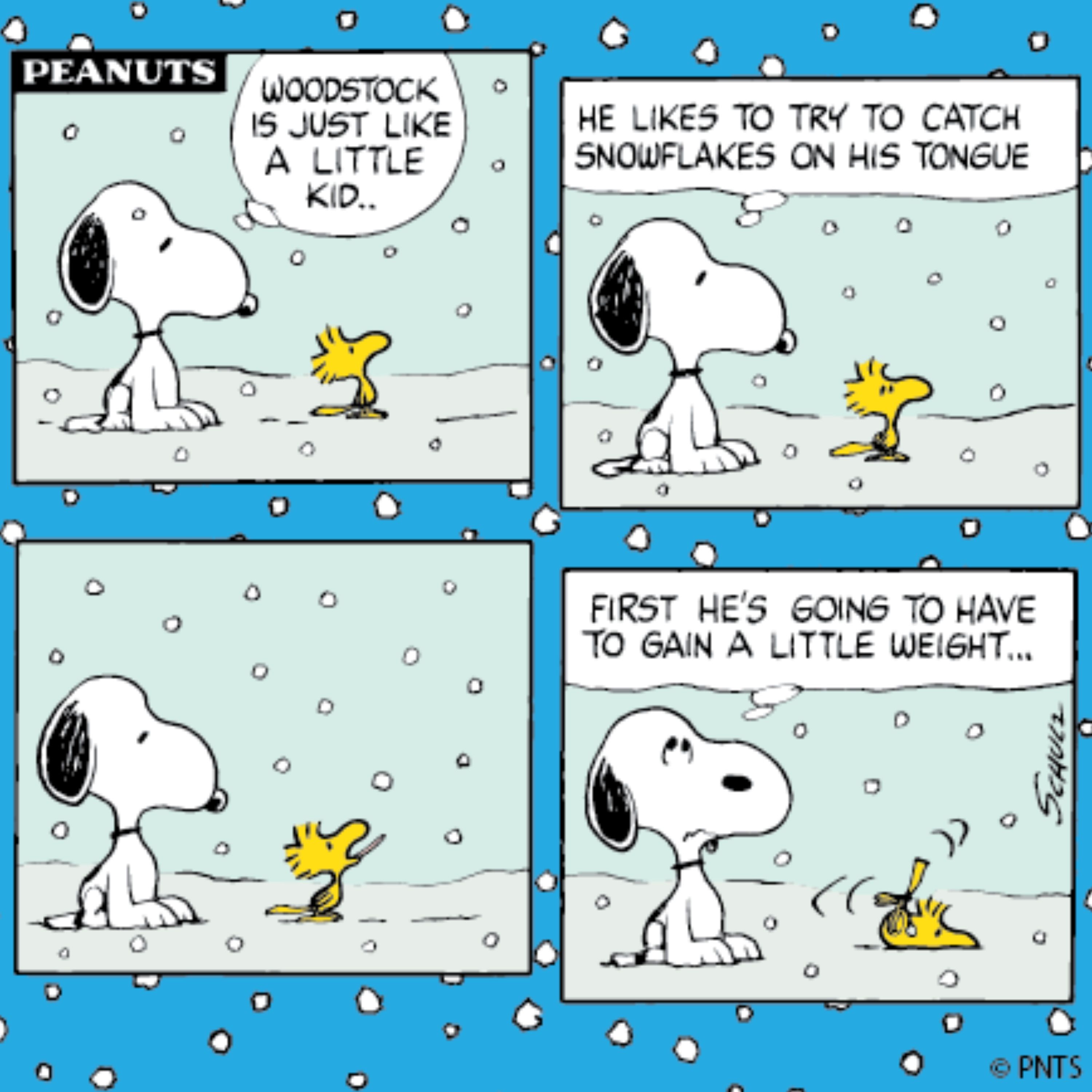 Snoopy and Woodstock