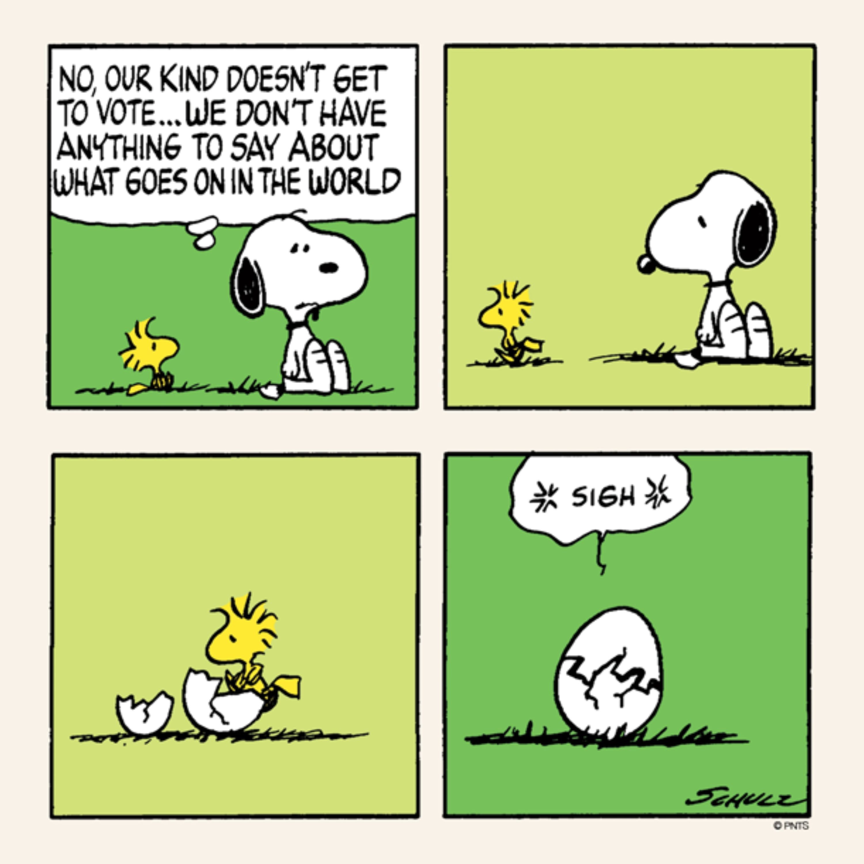 Snoopy and Woodstock