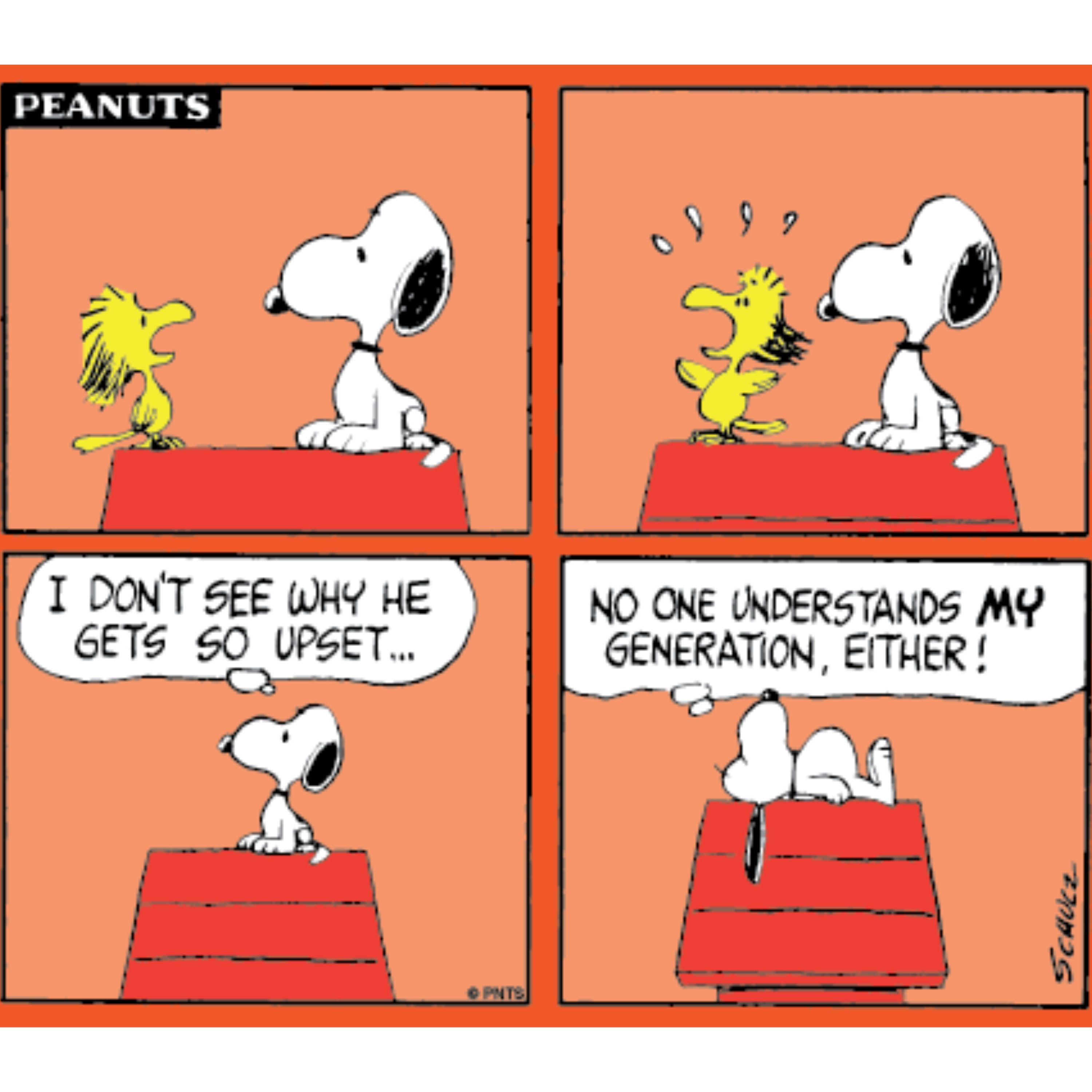 10 Funniest Peanuts Comics Starring Woodstock