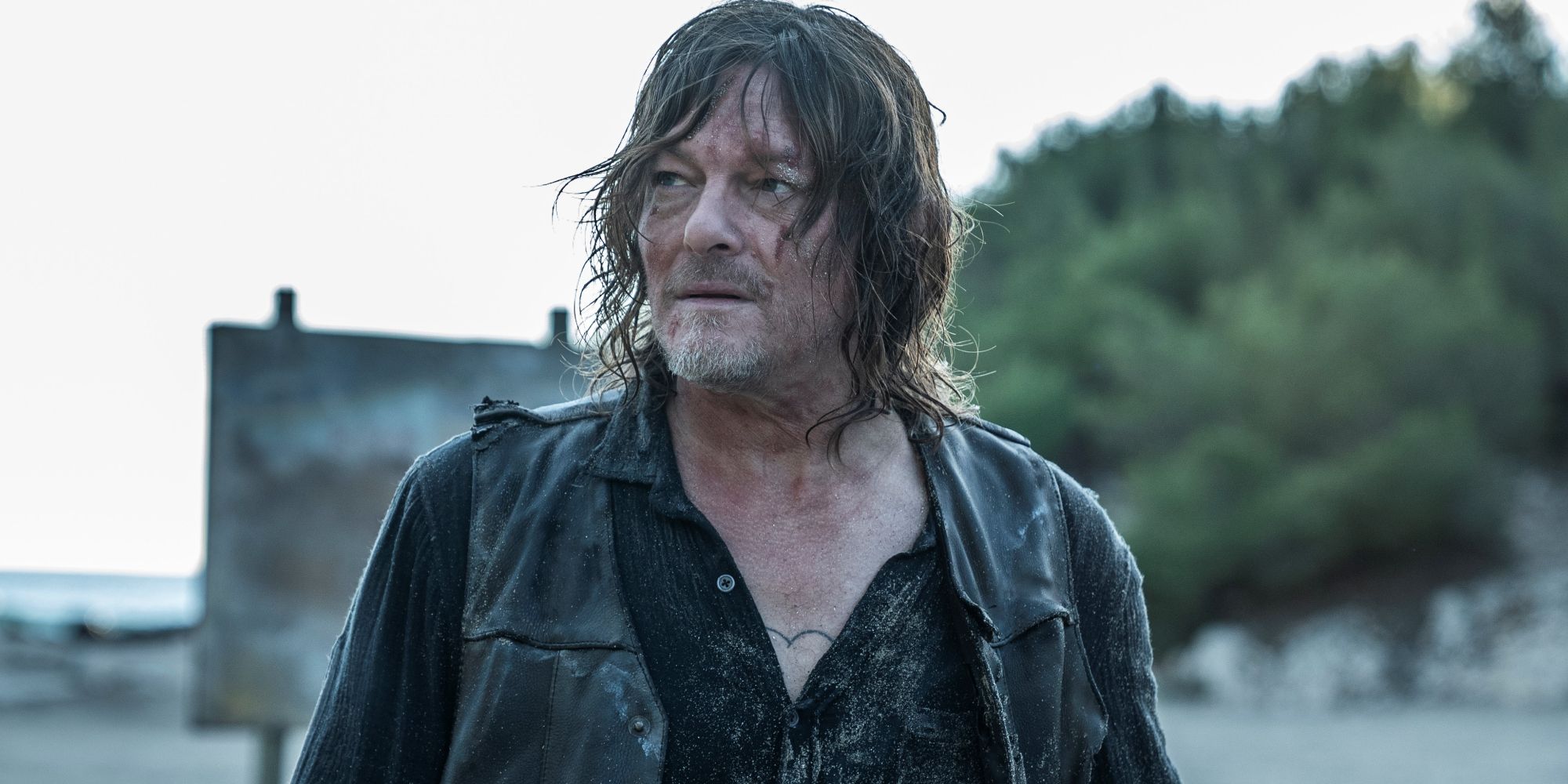 Walking Dead Is Finally Telling The Daryl Dixon Story It Promised 12 Years  Ago