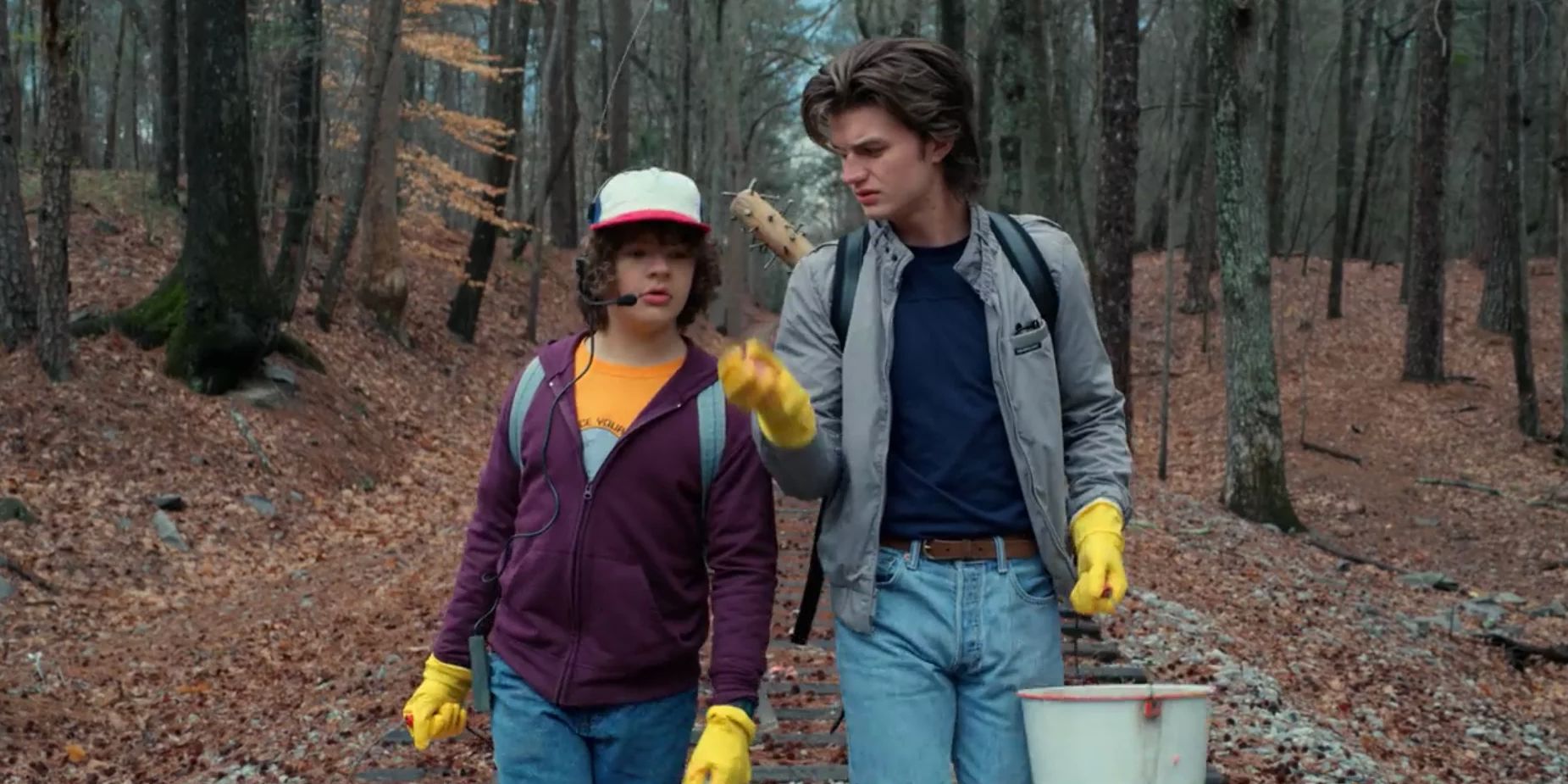 Dustin and Steve in Stranger Things