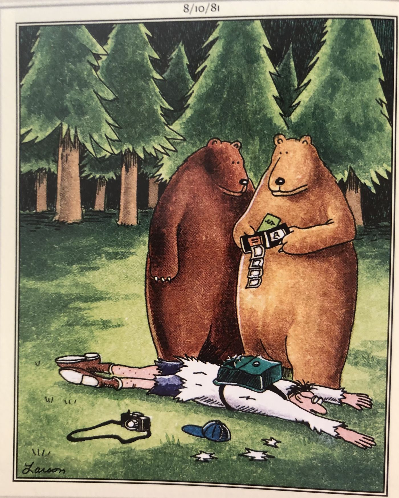 far-side-bears-mug-photographer