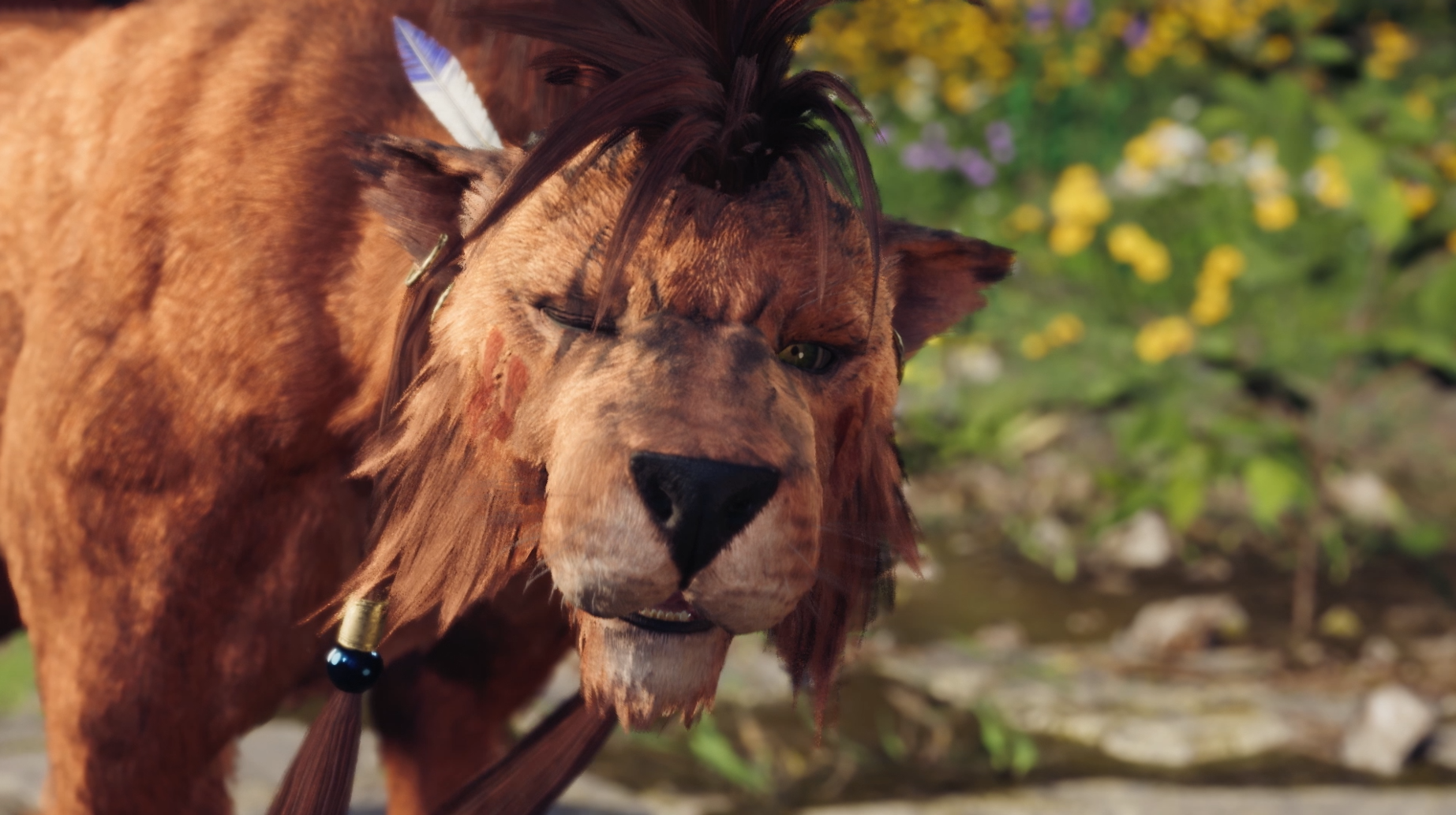 A close-up on an orange, wolf-like beast known as Red XIII in Final Fantasy 7 Rebirth.