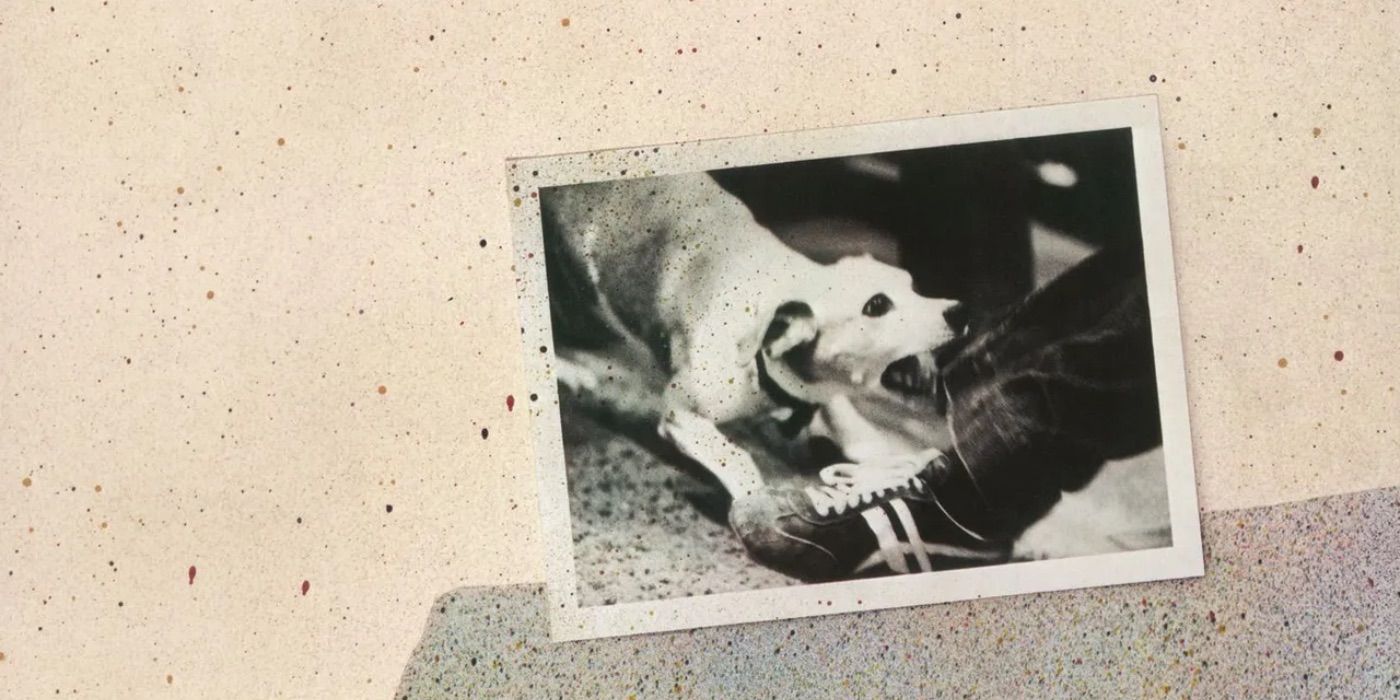 A dog bites a person&rsquo;s pant leg on the cover of Fleetwood Mac&rsquo;s Tusk
