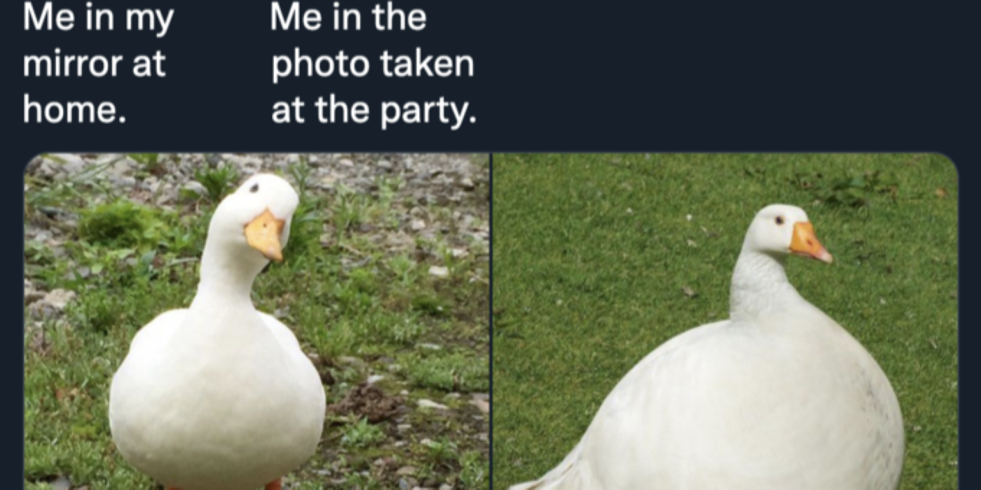 Goots Picture of Me Meme