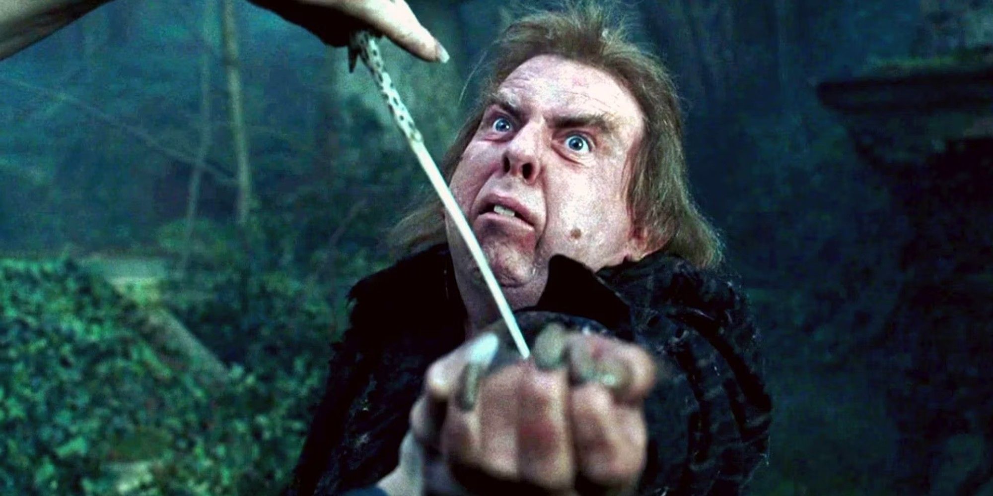 Harry-Potter-Peter-Pettigrew-Wormtail-Hand
